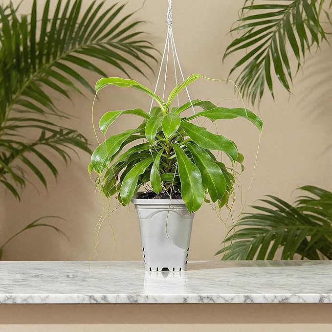 HG7X7SW 7"x7" Square White Pot, 9" Tall Pack of 5