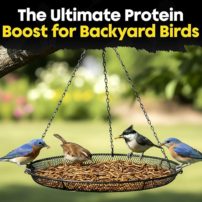 Dried Mealworms for Wild Birds - Crunchy Meal Worms for Wild Birds - High Protein Dried Mealworms for Bluebirds, Cardinals & Woodpeckers - Premium Backyard Bird Treat - All Natural Bird Food (5lbs)