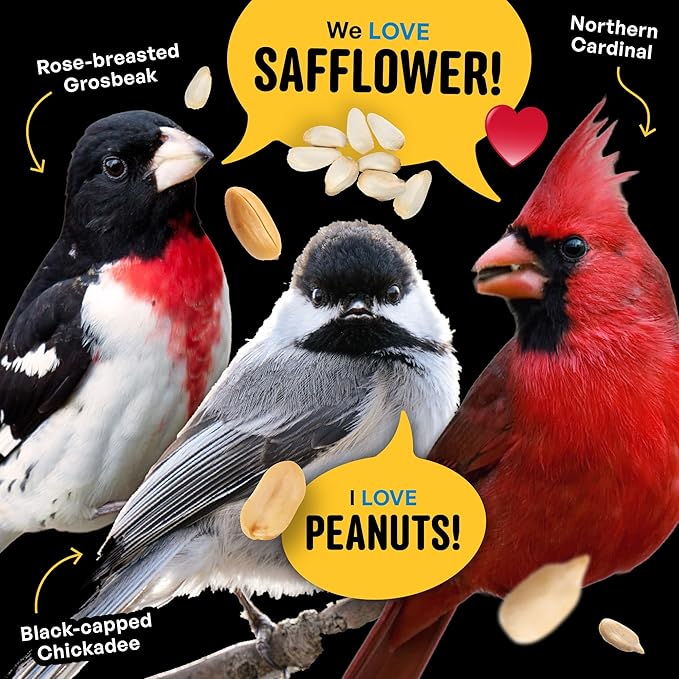 Cool Birds Safflower, Nuts & Hearts Wild Bird Seed – 10 lb. Gourmet Bird Food with Safflower, Sunflower Hearts & Peanuts – No Corn, Milo or Millet, No Waste Bird Food for Outside Feeders