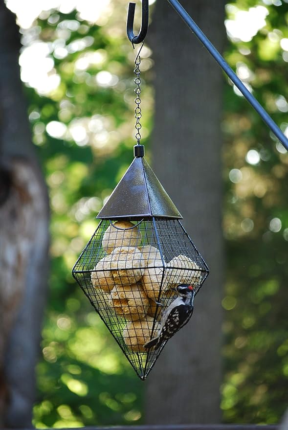 Suet Ball Feeder and Suet Ball Variety Combo Pack | Geo Pyramid Feeder with 16 Suet Balls