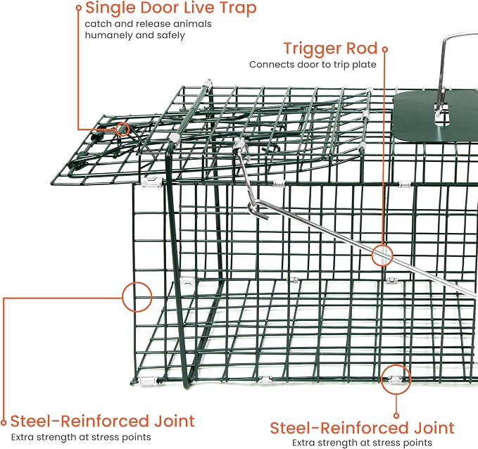 HOMESTEAD 24 Inch Heavy Duty Collapsible Live Animal Trap - Trap for Squirrels, Chipmunks, Rabbits, Kittens, Foldable Steel Trap (24 Inch)