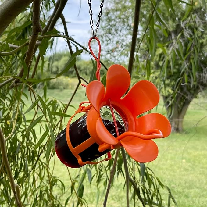 Songbird Essentials Jelly Bird Feeder, Oriole Feeder, Easy to Fill with Jelly or Jam, Plastic Jar Included. Fits Most 10-12 Ounce Jelly Jars