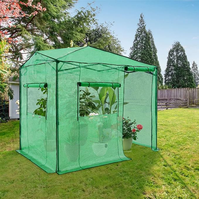 EAGLE PEAK 6x8 Portable Walk in Greenhouse, Pop Up Indoor Outdoor Greenhouse, Green House Kit with Zippered Roll-Up Doors and Windows, Side Door Design, PE Cover, Clear/Green