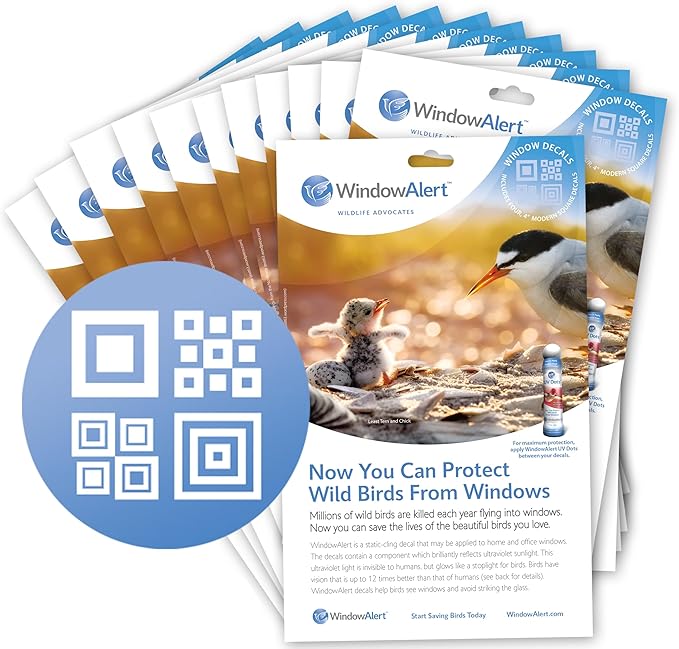 WindowAlert Modern Square Anti-Collision Decal 12 Pack - UV-Reflective Window Decal to Protect Wild Birds from Glass Collisions - Made in The USA