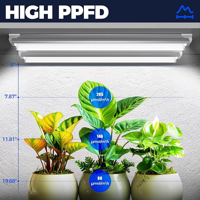 Barrina Grow Lights, 2FT 5000K White Full Spectrum Plant Growing Lamps, 144W(6 x 24W, 800W Equivalent), T8 LED Grow Light Bulbs, Plant Lights for Indoor Plants, Greenhouse, Linkable Design, 6-Pack