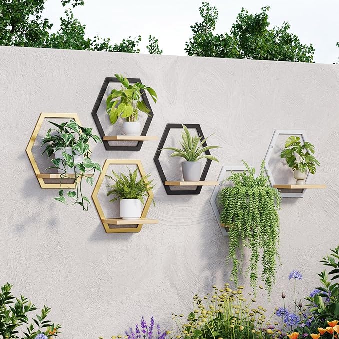 3 Packs Wall Plant Stand with Board (2 pack black)