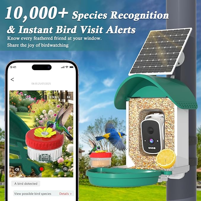 Bird Feeder with Camera, 3K Smart Bird Camera with AI Identification & Bird Bath, Solar Powered Wireless Outdoor Bird House with Spill-Proof Net, Ideal Backyard Bird Watching Gift to Bird Lovers