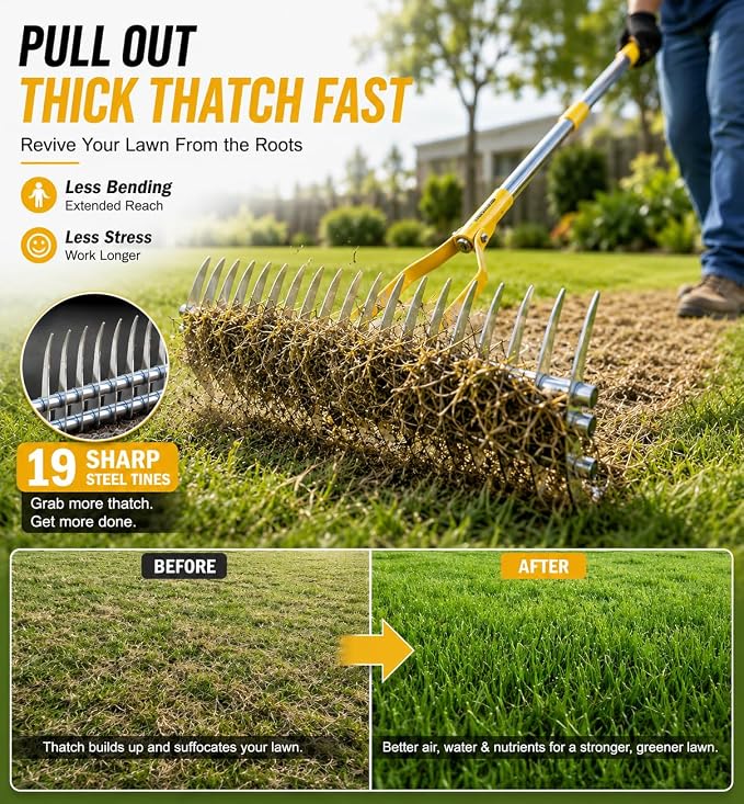 Heavy Duty Thatch Rake for Lawns, 15" Dual-Sided Dethatching Rake with Sharp Steel Tines, Manual Dethatcher and Scarifier Tool for Dead Grass, Moss & Thatch Removal, 70" Adjustable Long Handle