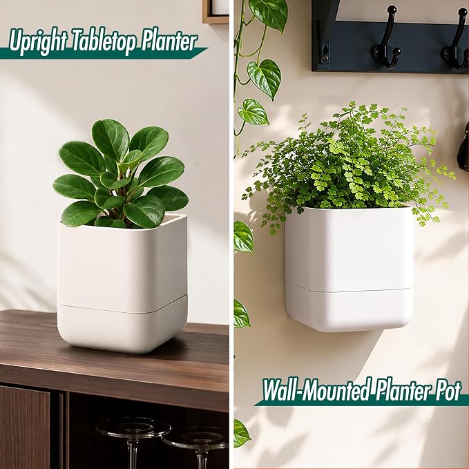 Phoenix Vine 4.5 Inch Wall Mounted Self-Watering Planter Pot for Indoor Houseplants and Herbs | Hanging Planter for Window Sills, Bathroom Walls, Home & Office Décor, Oatmeal, Set of 4, 01-B-G-4