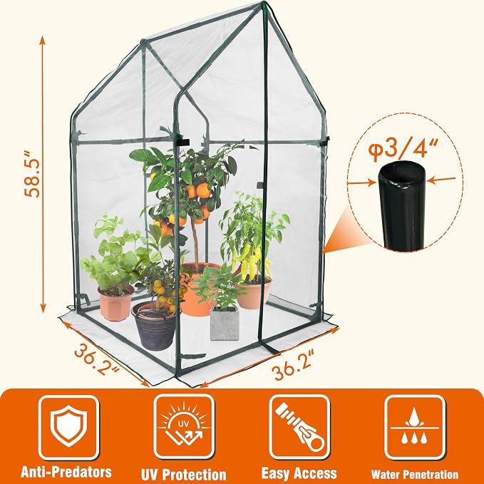 Gardzen Mini Greenhouse with Zipped Mesh Cover, Steel Frame Portable Outdoor Greenhouse, Enhanced Ventilation, Ideal for Spring, Summer & Fall 36.2"(L) x36.2(W) x59.5(H)
