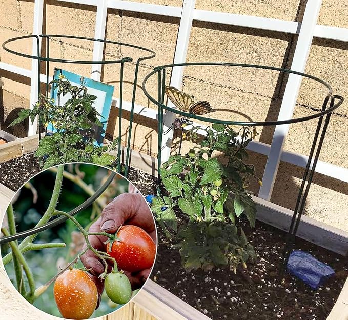 TCBWFY 20 Pack Plant Supports Stakes for Large Heavy Plants, 16"Hx10"D Peony Supports,Heavy Duty 4mm Wire Peony Cages,Interlock Garden Supports Ring Border Support,Plant Support Cage for Rose Flowers