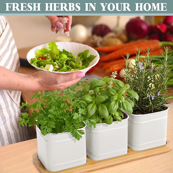LemonRoad 6 Pcs Indoor Herb Planter Window Herb Pots for Kitchen with Drainage Hole and Bamboo Tray Farmhouse Metal Garden Planter Pot with DIY Label Mom Plant Gift(White,Square)