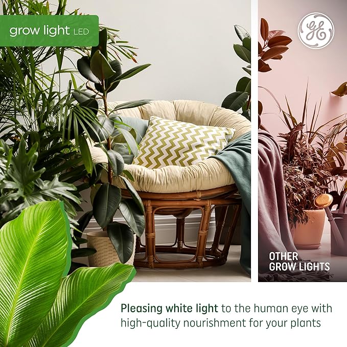 GE Grow Lights for Indoor Plants, A19 LED Light Bulbs for Flowers and Fruit with Advanced Red Light Spectrum, White Indoor Plant Light, 25,000 Hours Lifespan, 15 PPF, 2 Pack (Packaging May Vary)