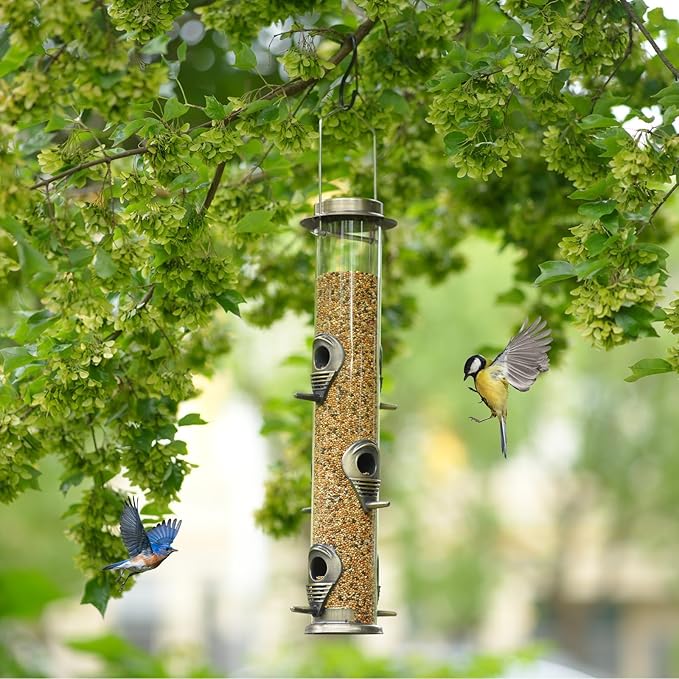 ERYTLLY Metal Bird Feeders 6 Port Tube Bird Feeder for Wild Birds, 1.4mm Extra Thick Solid Tube Transparent with Metal Lid for Outside