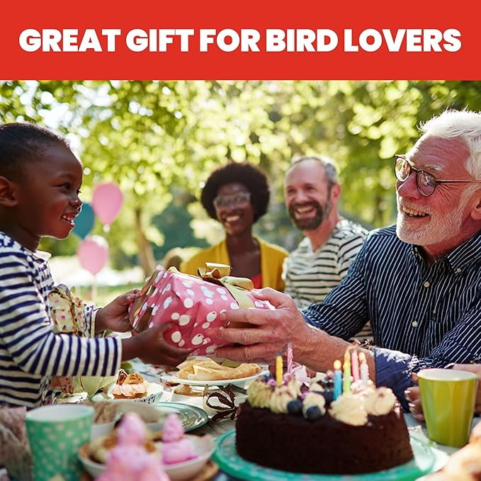 More Birds Bird Health+ Ruby Hummingbird Feeder, Glass Hummingbird Feeders for Outdoors, 4 Feeding Stations, 10 Ounces, Ruby Red