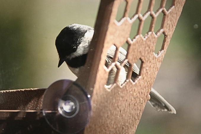 Window Bird Feeder for Outdoors Weatherproof Bird Feeder with Strong Suction Cups, Bird Watching for Cats, Easy to Clean Outdoor Birdhouse Feeder, Original Design Made in USA (Desert Tan)