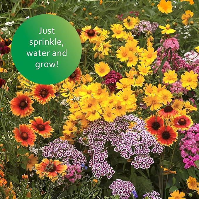 Earth Science Perennial Wildflower Mix—6 lb—3-in-1 Formula with Premium Wildflower Seeds, Plant Food and Soil Conditioners - Non-GMO, Natural Ingredients