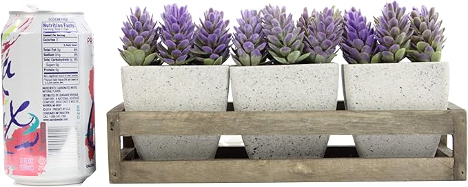 Admired by Nature 3pcs Succulents Terracota Rustic Style W/Wooden Tray Indoor Spring Summer Faux Plant décor, Wedding Centerpieces, Tabletop, Home Décor, Office Desk, Kitchen Table Décor, Green