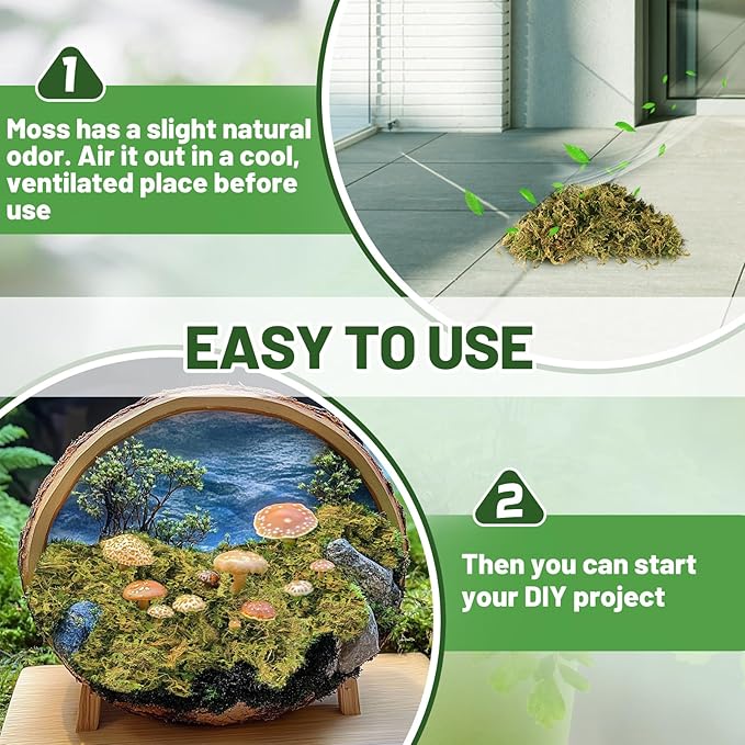 Alphatool 17oz Large Pack Natural Green Moss for Crafts - Bulk Moss for Plants Indoor, Artificial Fairy Gardens, Mosswall, Glass Terrariums, Filling Fake Plants, Home Decoration, Professional DIY Use