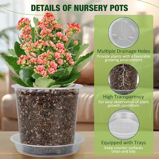 10 Inch Clear Nursery Pots with Drainage Holes and Saucers, 5 Pack Large Clear Pots for Plants Variety Pack, Seedling Pots for Succulents, Herbs, Flowers, Vegetables