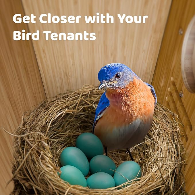 Birdfy Smart Bird House with Camera Lifetime AI Identify Auto-Record Nesting Stages & Alerts, Remote Control Night Vision Battery & Solar Outdoor-Ready, Gift for Nesting Watching Enthusiasts