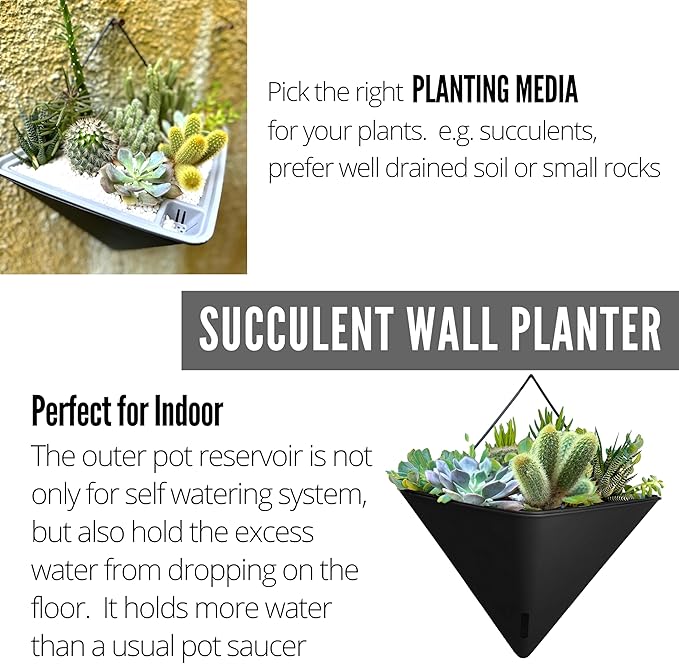 LaLaGreen Bundle- 2 Pack, 12 Inch Black Geometric Self Watering Pot + 6 Pack, 4 Inch Square Metal Pot Wall Mounted Hanging Plant Flower Succulent Vase Holder Modern Stylish Balcony Indoor Garden Decor