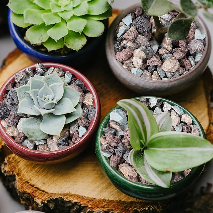 18lbs Mix Horticultural Lava Rocks for Plants, 3/8 Inch Potting Soil Amendment for Succulents, Cacti, Bonsai, Decorative Gravel Plant Drainage Volcanic for Terrarium, Top Dressing