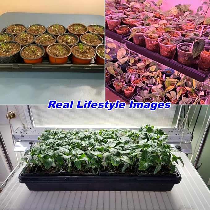 50-Pack Heavy-Duty 1020 Seed Starter Trays, Extra-Thick Plastic Planting Flats for Seed Germination, Microgreens & Seedlings – 21"x11" No-Hole Plant Trays Compatible with 72/128 Plug Inserts