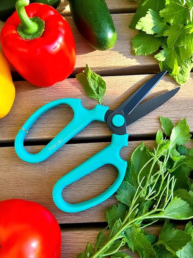 Garden Pruning Shears Scissors Carbon Steel Blades 7.6 Inch, Echinops - Teal