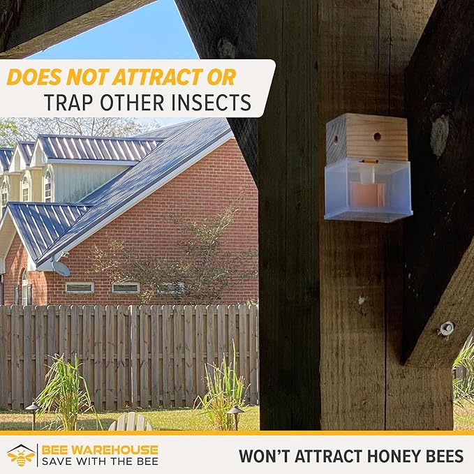 Carpenter Bee Trap - Wood Boring Bee Trap - Unique Catch & Release Outdoor Carpenter Bee Trap - Includes Hanging Hardware & 5 Bee Dams