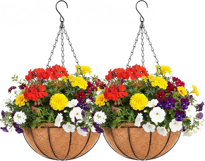 EIMQUVW Outdoor Metal Hanging Planters Basket (2pack, 12 inch) Hanging Baskets for Plants Chain Round Wire Plant Holder with Coco Fiber Liners for Garden, Patio, Deck, Porch