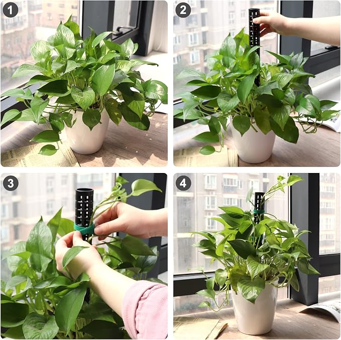 Moss Pole for Climbing Plants Monstera, Indoor Plant Supports, Plastic Moss Stick, Plant Stake for Garden, Extension Aid Climbing Rob (Black, 6pcs 10inch)