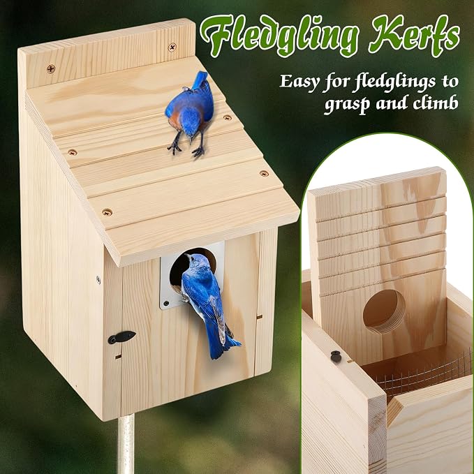 Dreyoo 8 Pack Bluebird Houses for Outside with Metal Predator Guard, 1-1/2" Entrance Hole Wooden Blue Bird Houses for Outdoors, Bluebird Nesting Box with Screwdriver(Wood Color)