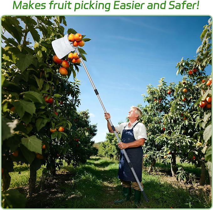 BURMONG 13.8 FT Fruit Picker Tool with Stainless Steel Pole & Soft Basket – Adjustable Tree Fruit Harvester for Apple, Mango, Avocado, Orange, Pear, Lemon & More – Lightweight & Rust-Resistant