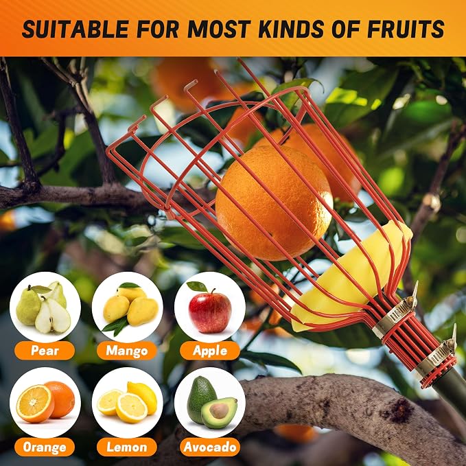 5-20FT Fruit Picker Pole Tool, with Basket Long Handle Adjustable Telescoping Pole, for Mango, Apple, Lemon, Orange, Avocado Fruit Tree Picking