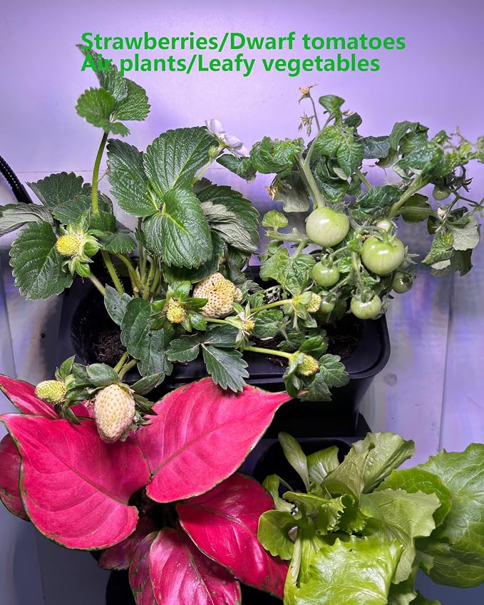 Wall Planters for Indoor Plants with Grow Light & Self Watering System, 6-Pot Vertical Garden for Herbs, Vegetables, Flowers, Succulents, Includes Screws & Expansion Pipes