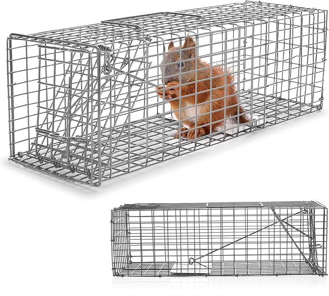 Qualirey 1 Pcs Humane Squirrel Trap Heavy Duty Live Animal Chipmunk Catch and Release Rat Trap for Outdoor Small Animals Mouse Raccoon Stray Cat Rodent Weasels (Silver)