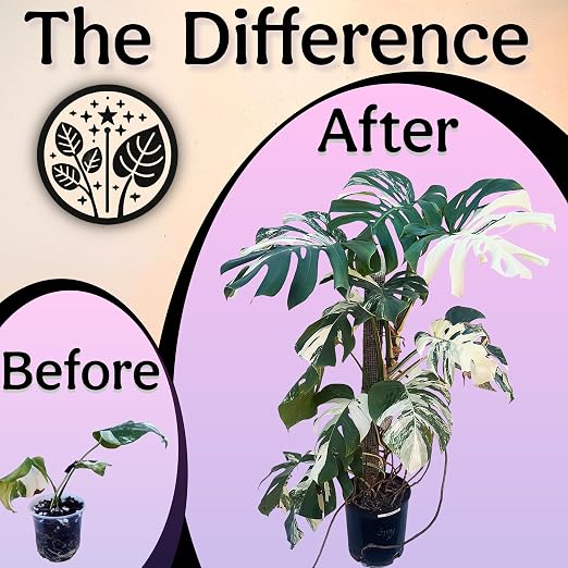 Organic Liquid Indoor Plant Food, Houseplant, Tropical & All-Purpose Indoor Plant Fertilizer, Organic Liquid Fertilizer 5-5-5 with Sea Kelp 32oz Treats 220 Gallons of Water