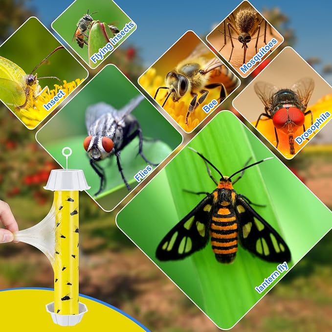 Qualirey 8 Pcs Sticky Fly Trap Fly Stick Indoor Outdoor Long Lasting Hanging Flies Bug Catcher Paper Tape Strips with Hook for Wasps Gnats Bug Insects Fruit Flies Mosquitoes (Novel-1,Yellow and Black)