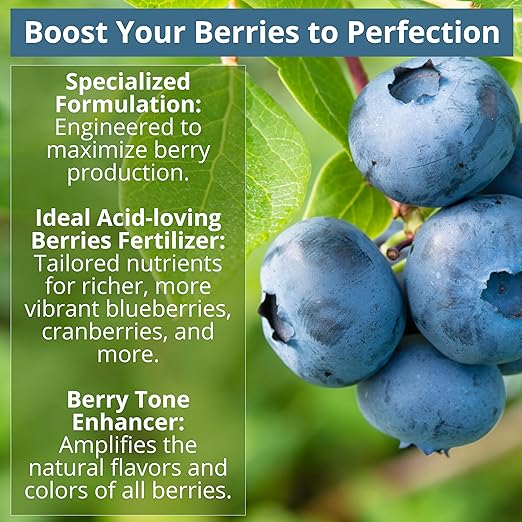 GARDENWISE 8-4-8 Acidic Fertilizer for Azaleas, Camellias (Camelia), Hydrangeas, Blueberries, Gardenias, Magnolia Trees, Evergreens, and Rhododendrons - Ideal Iron-Rich Plant Food (3 QUARTS)