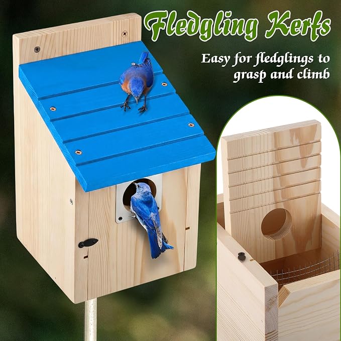 Dreyoo 4 Pack Bluebird Houses for Outside with Metal Predator Guard, 1-1/2" Entrance Hole Wooden Blue Bird Houses for Outdoors, Bluebird Nesting Box(Blue Roof, Wood Body)