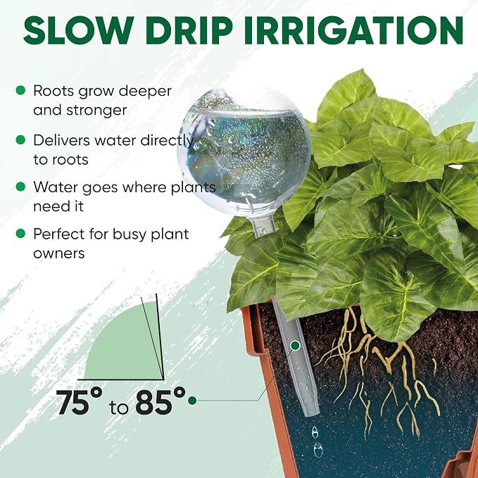 Clear Plant Watering Globes Set of 4 - Large Self Watering Globes for Indoor & Outdoor Plants - Automatic, Glass Watering Bulbs for Daily Use, Plant Watering Devices