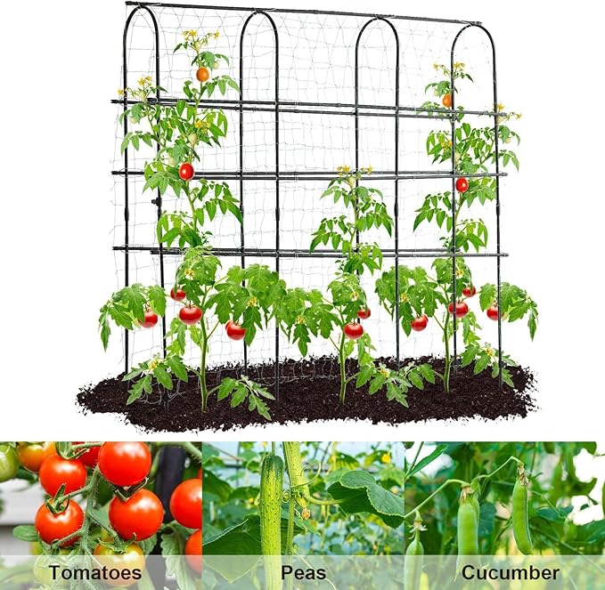 OTOSUNNY Garden Trellis for Climbing Plants Outdoor, 6 FT Tall Arch Tunnel, Metal A-Frame Plant Support with Trellis Netting Vegetable Fruit Flower, Cucumber Trellis for Garden Raised Bed