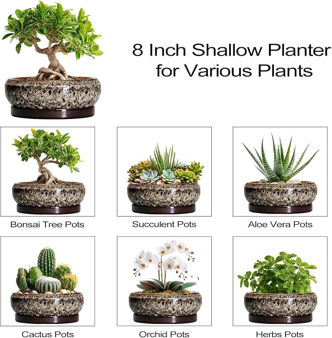 Bonsai Pots - 8 Inch Ceramic Pots for Plants with Drainage Hole and Saucer, Round Succulent Pot, Bonsai Planters Indoor Outdoor, Shallow Planter Bowl, Patio Decor, Gardening Gift, White