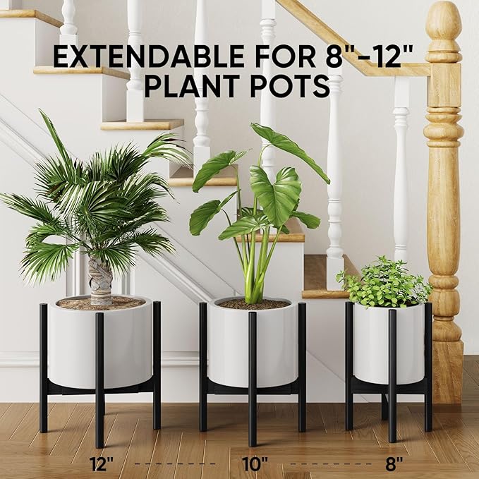 MUDEELA Plant Stand Black 2 Pack 2 Tier and 10" Plant Saucers 6 Pack
