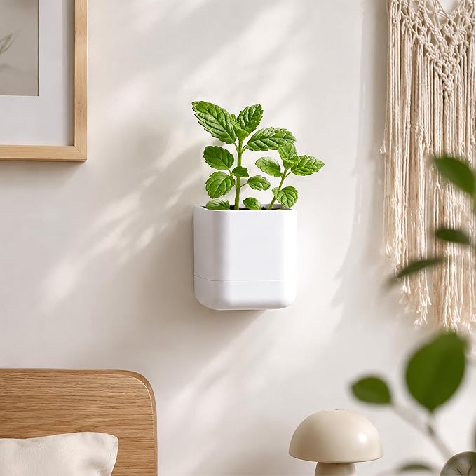 Phoenix Vine 3.5 Inch Wall Mounted Self-Watering Planter Pot for Indoor Houseplants and Herbs | Hanging Planter for Window Sills, Bathroom Walls, Home & Office Décor, White, Set of 3, 01-A-D-3