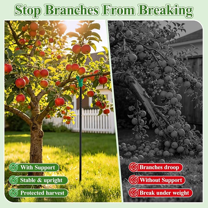 Adjustable Tree Support Pole with Crutch, Heavy Duty Fruit Tree Branch Support to Prevent Breakage, Adjustable 34–74” (2 Pack)