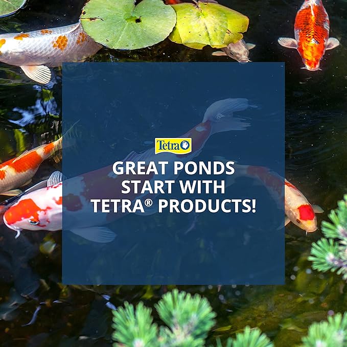 TetraPond Water Garden Pump, Powers Waterfalls/Filters/Fountain Heads,Black,50 to 500 Gallons