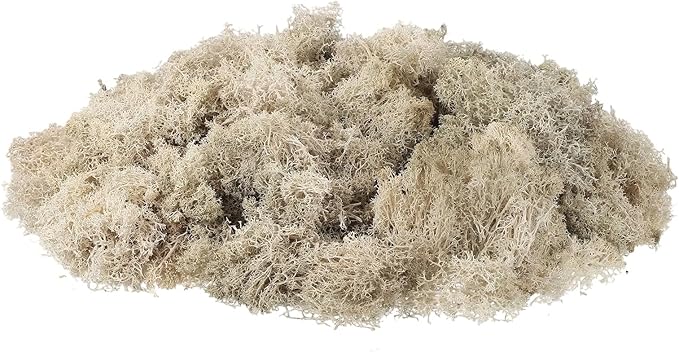 uxcell Preserved Reindeer Moss, 3.5oz Fake Moss for Crafts Artificial Dried Moss for Decoration Terrariums Potted Plants, Cream
