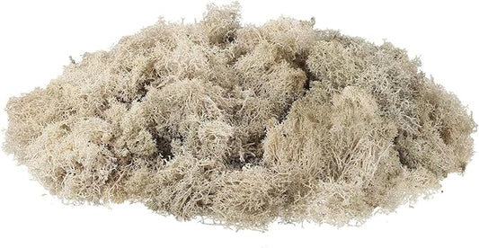 uxcell Preserved Reindeer Moss, 3.5oz Fake Moss for Crafts Artificial Dried Moss for Decoration Terrariums Potted Plants, Cream
